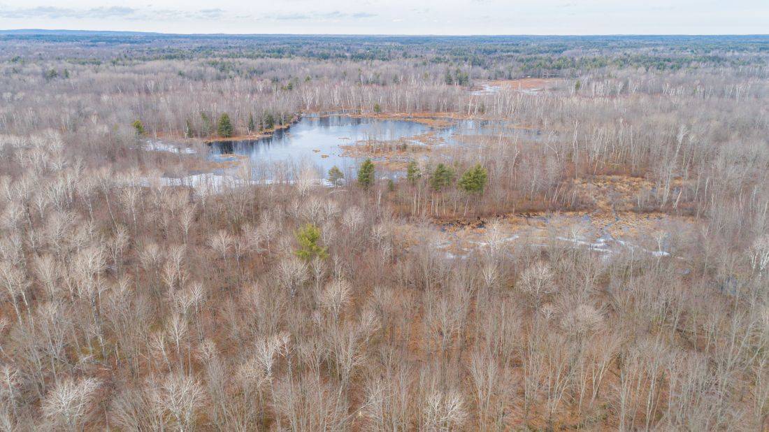 Tweed, ON K0H 1P0,1446 Flinton RD