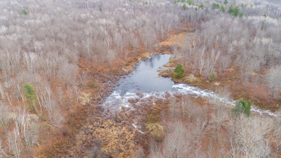 Tweed, ON K0H 1P0,1446 Flinton RD