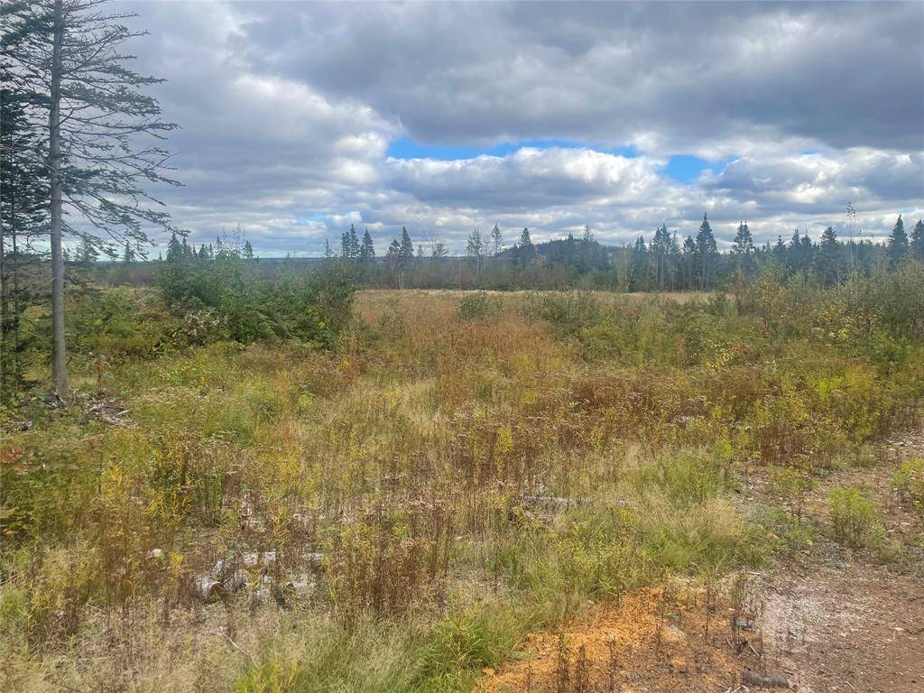 Botwood, NL A0H 1E0,136333 Peter's Pond