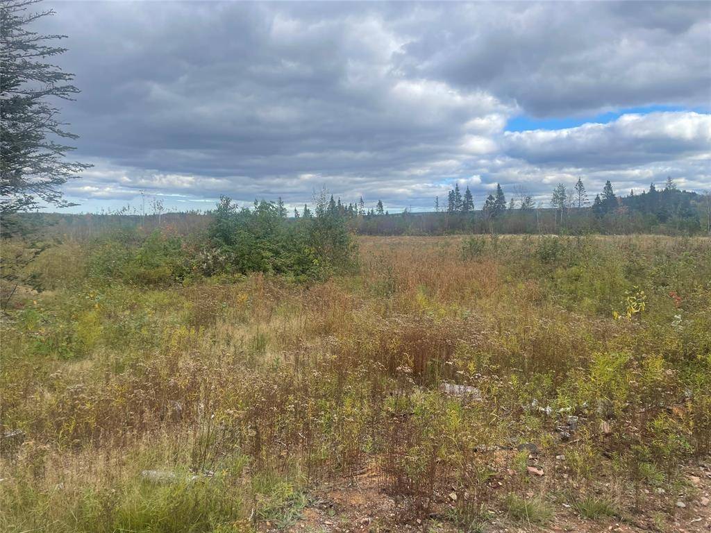 Botwood, NL A0H 1E0,136333 Peter's Pond