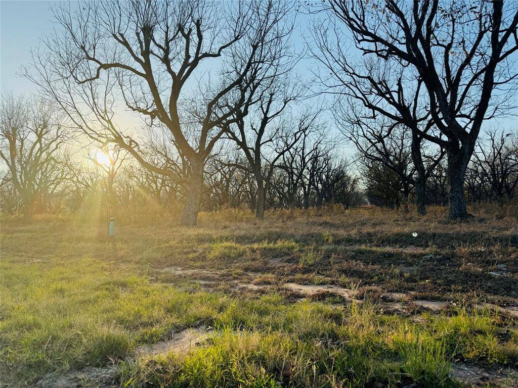 Granbury, TX 76049,2519 Buckskin Drive