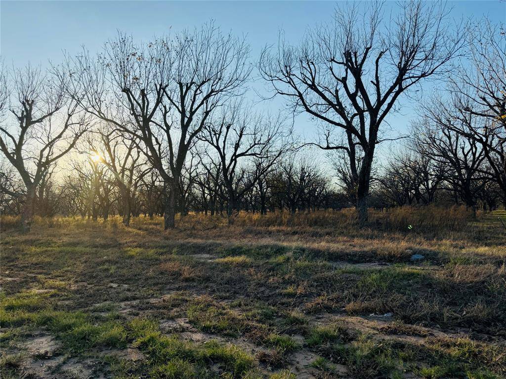 Granbury, TX 76049,2519 Buckskin Drive