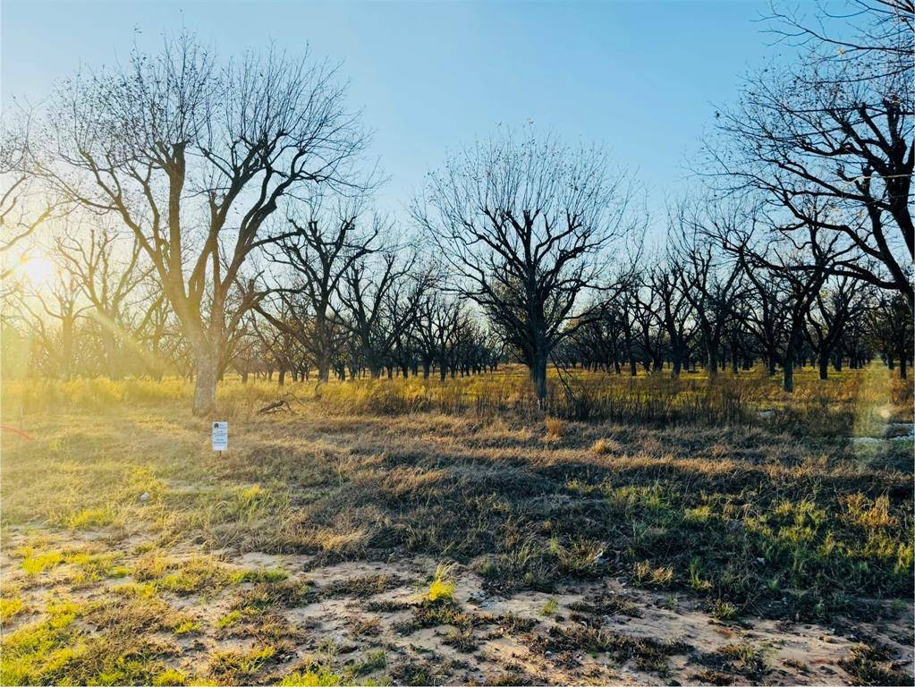 Granbury, TX 76049,2519 Buckskin Drive