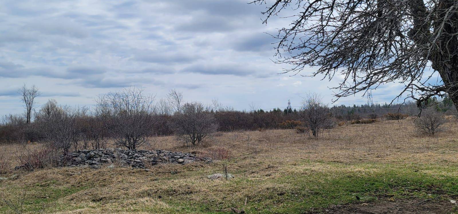 Kawartha Lakes, ON K0K 2T0,LT24 Con4 Eldon RD