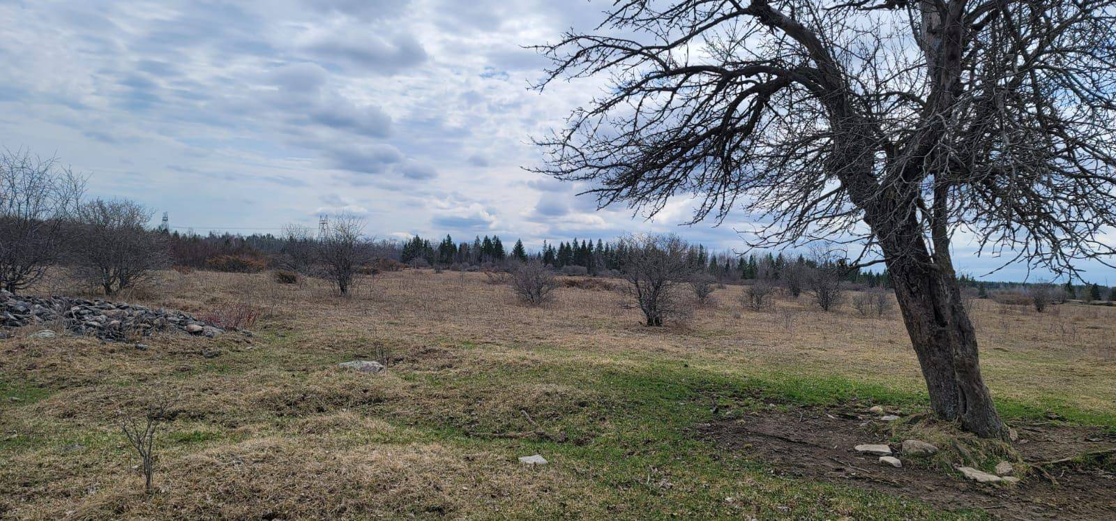 Kawartha Lakes, ON K0K 2T0,LT24 Con4 Eldon RD