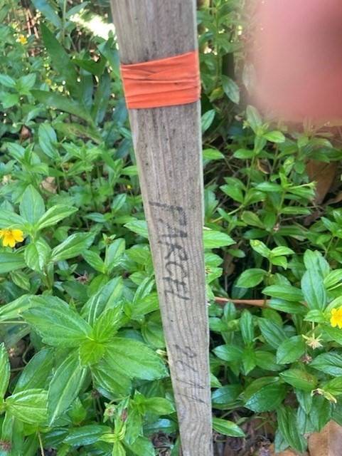 Keaau, HI 96749,15-1144 AMAU RD