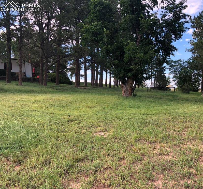 Franktown, CO 80116,6597 S Highway 83