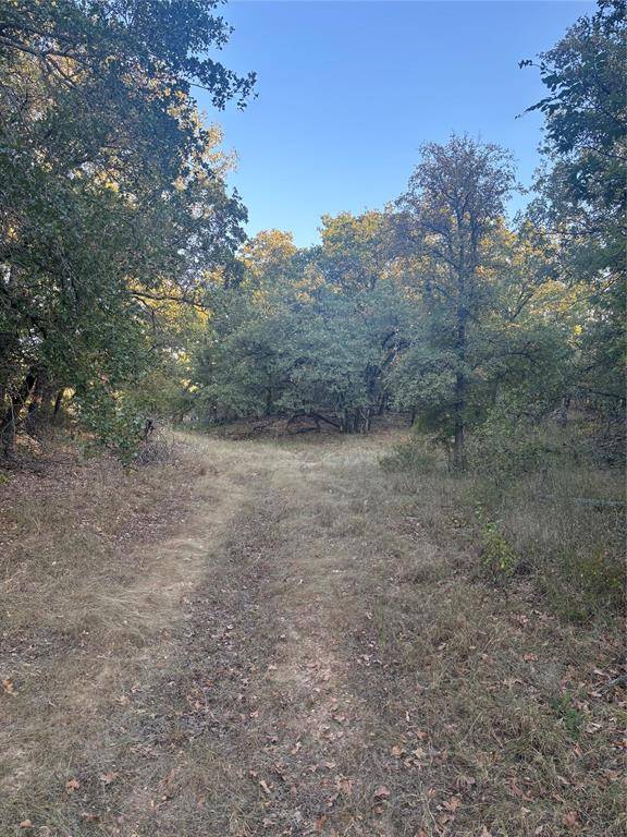 De Leon, TX 76444,316 County Road 458