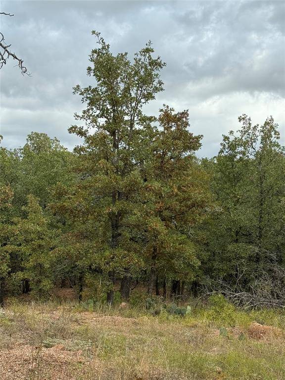 De Leon, TX 76444,316 County Road 458