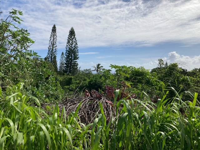 Naalehu, HI 96772,KAULUA CIRCLE