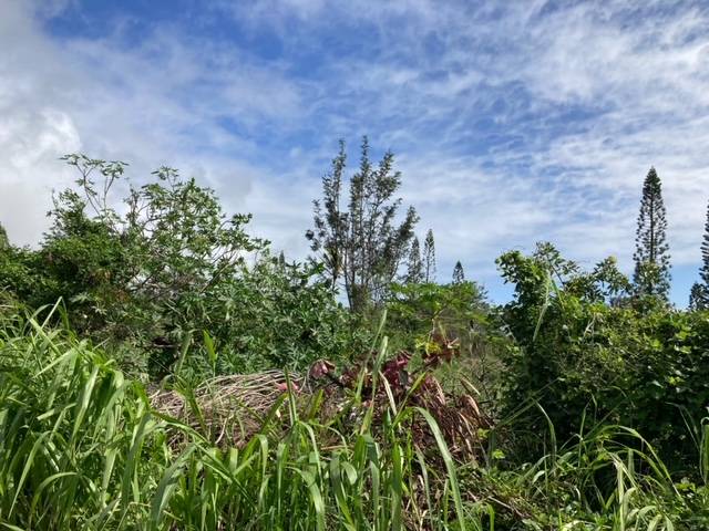 Naalehu, HI 96772,KAULUA CIRCLE