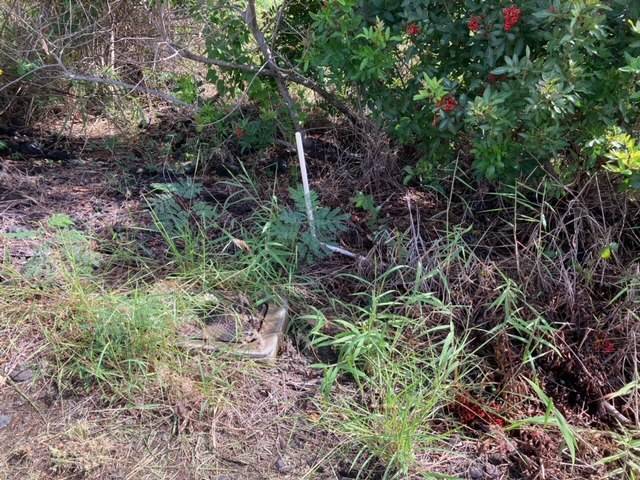 Naalehu, HI 96772,KAULUA CIRCLE