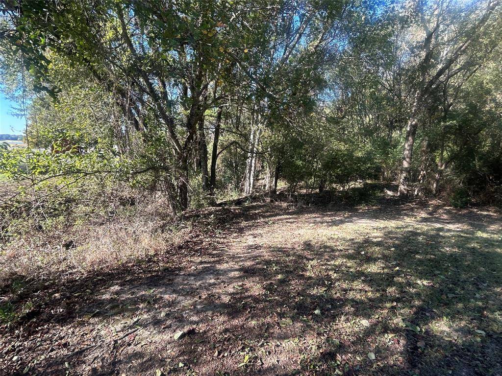 Eustace, TX 75124,0 Lake Lane