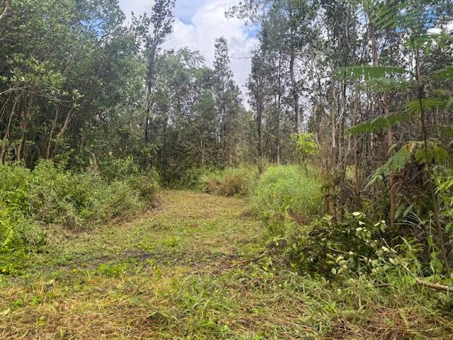 Mountain View, HI 96771,PIKAKE ST