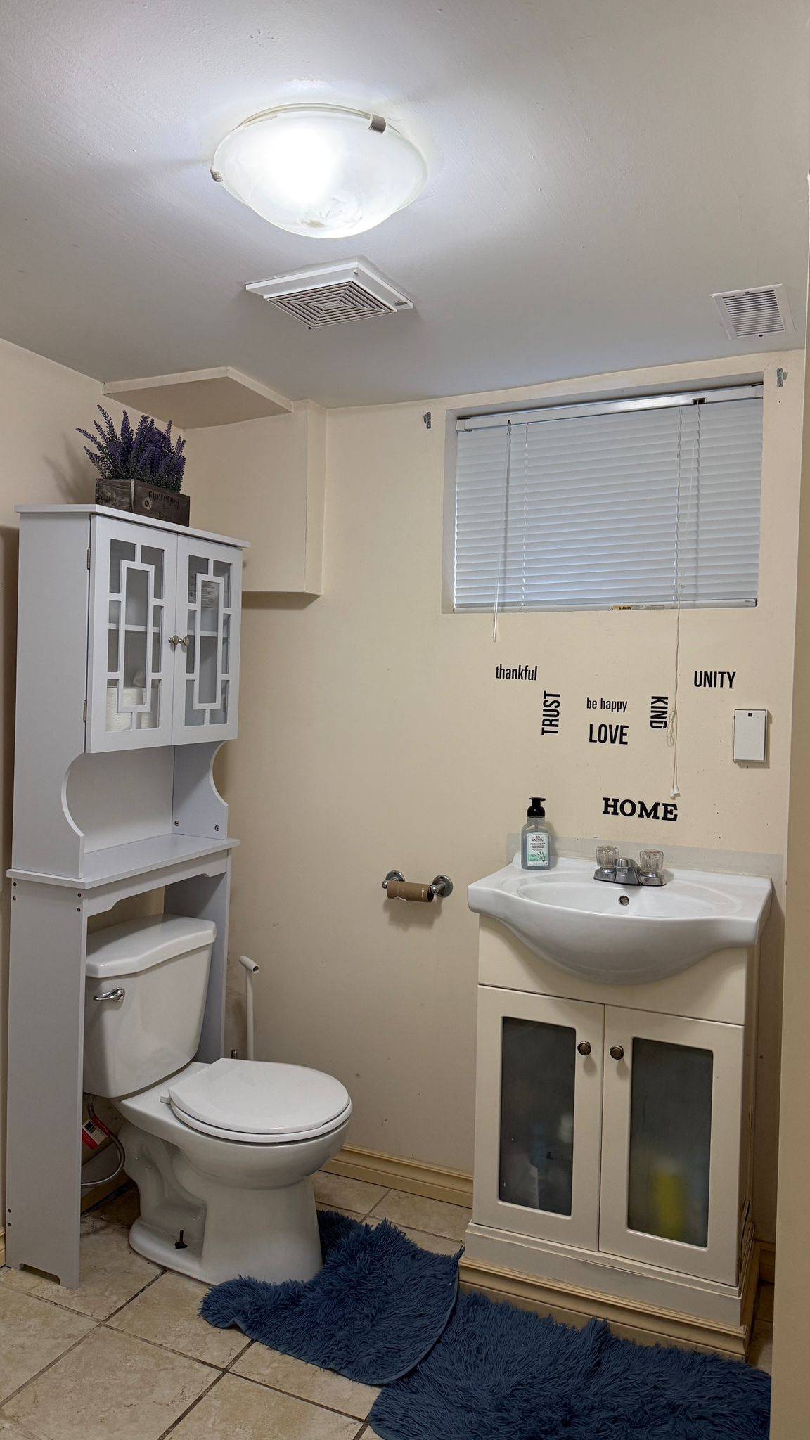 Toronto E04, ON M1L 3H6,657 Pharmacy AVE #Bsmt