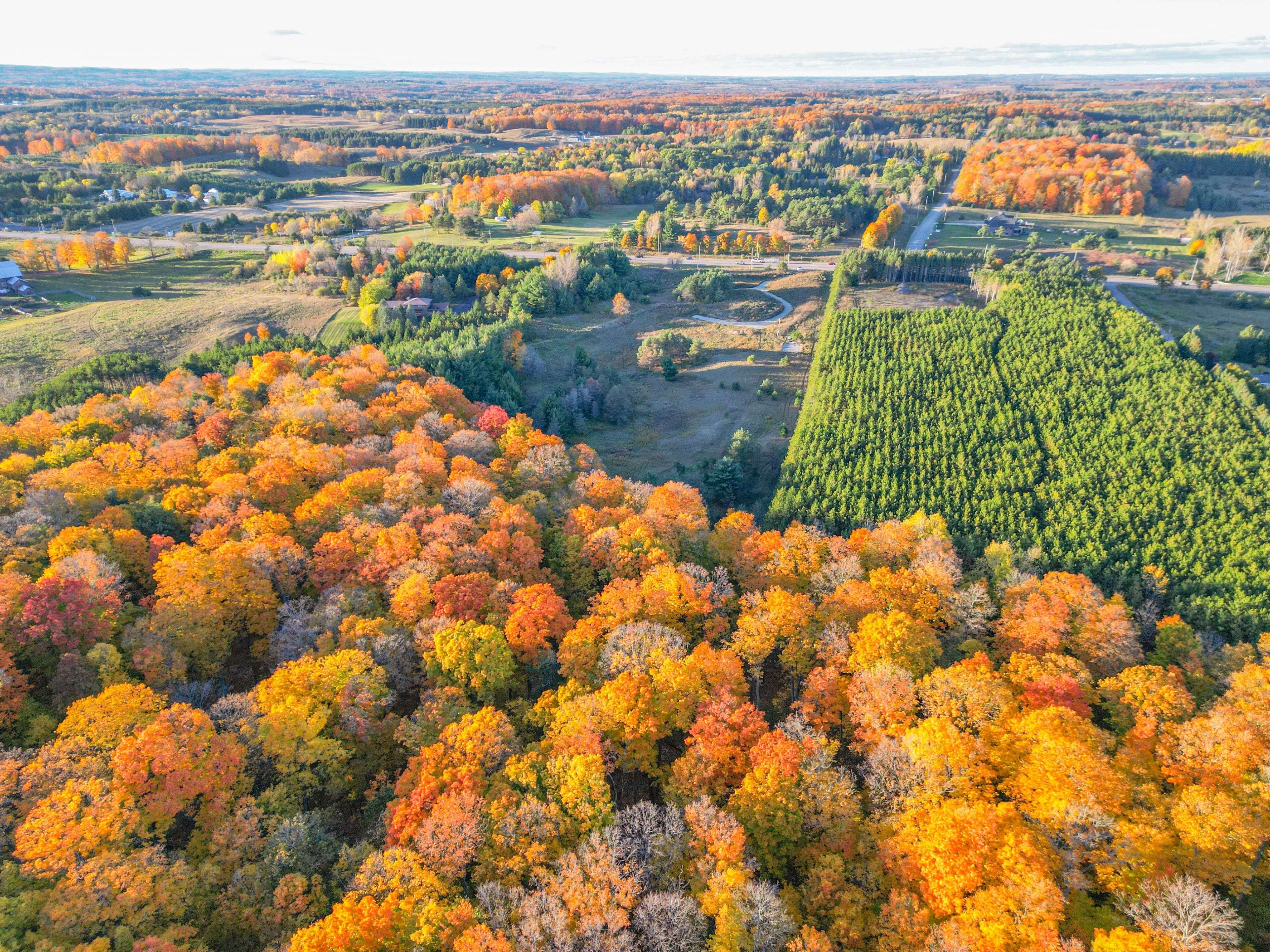 Caledon, ON L7E 0G3,0 Highway 9 N/A