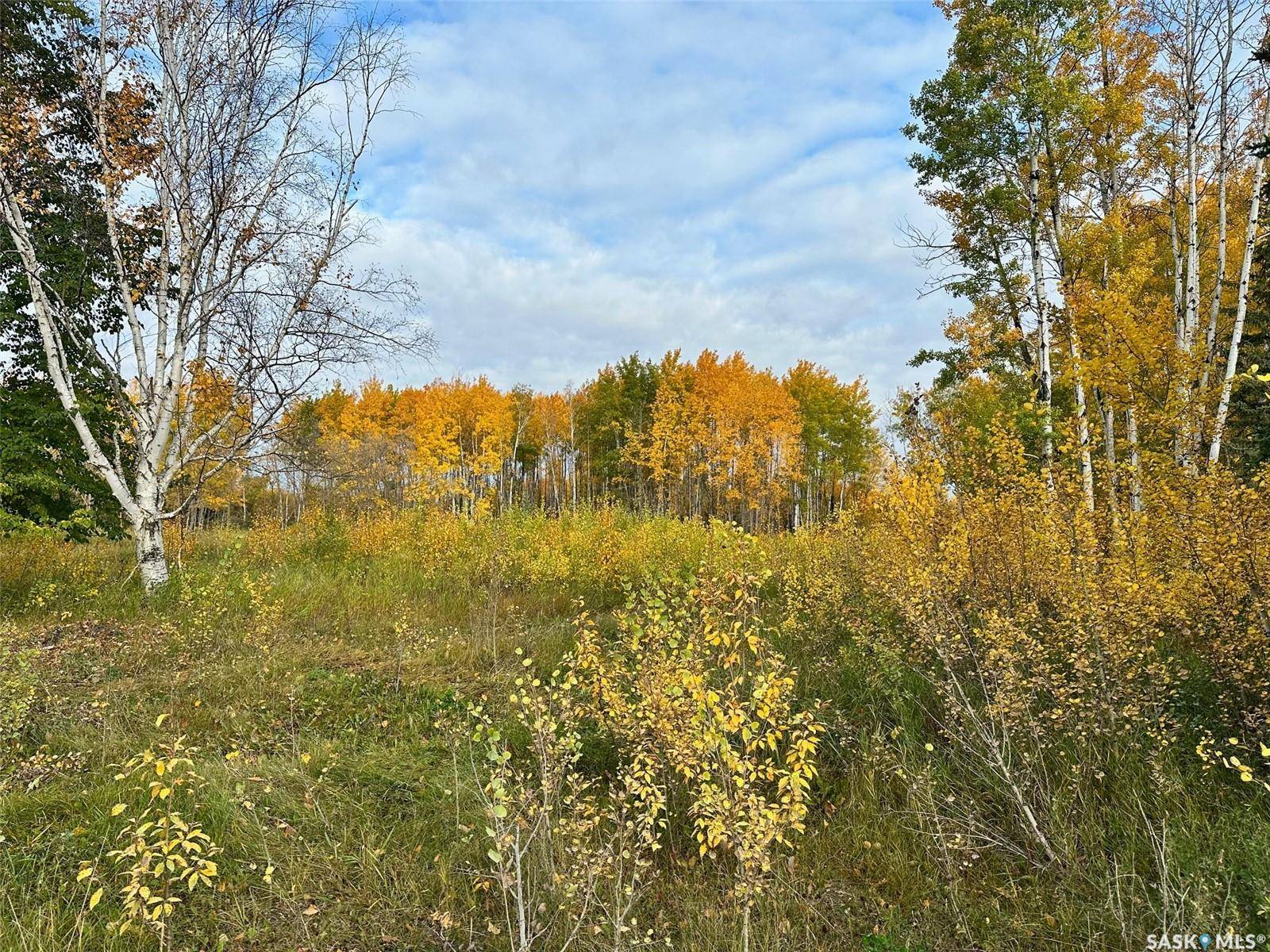 Hudson Bay, SK S0E 0Y0,Rural Address