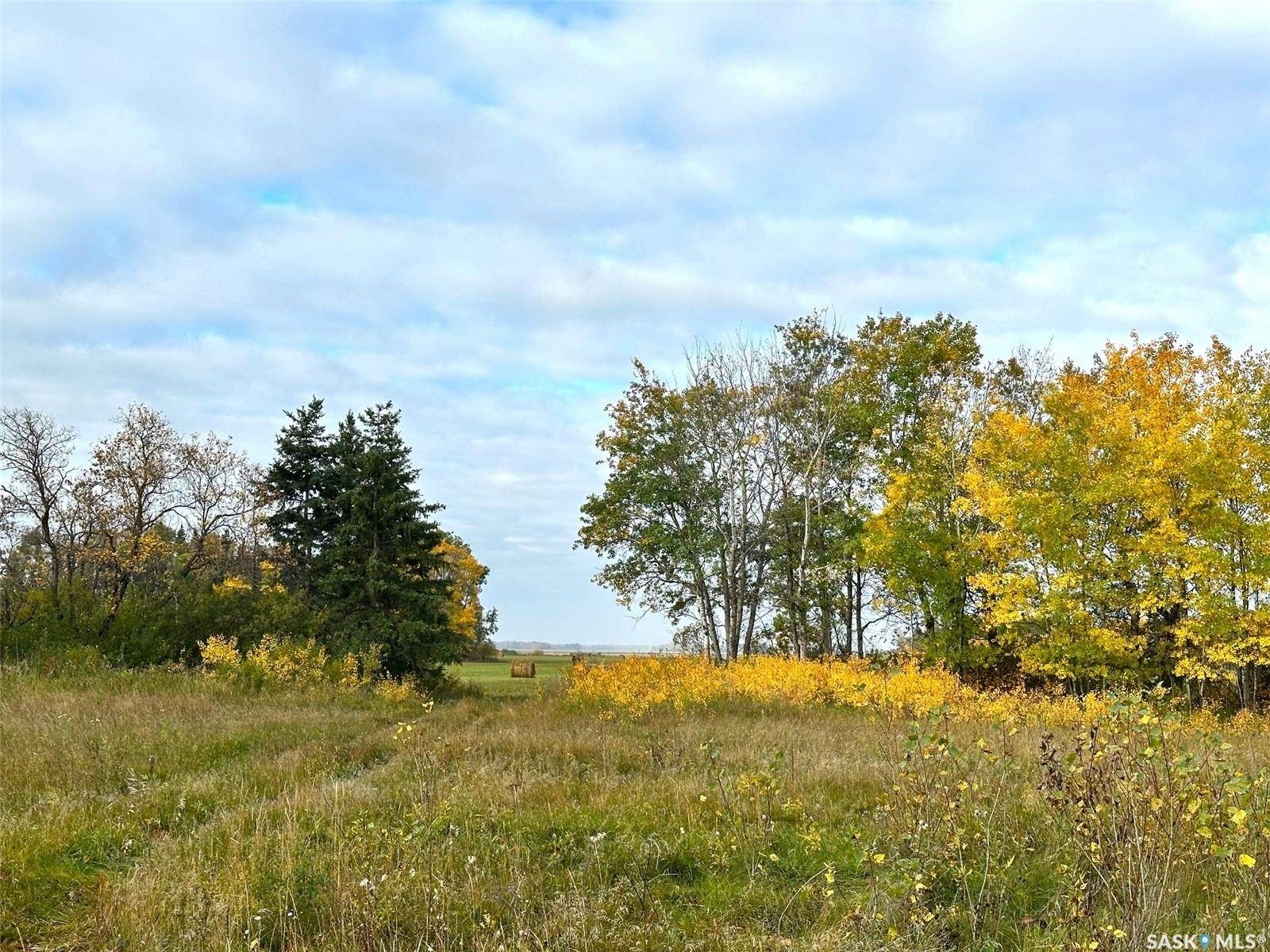 Hudson Bay, SK S0E 0Y0,Rural Address