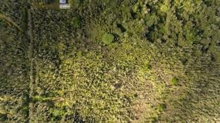 Mountain View, HI 96760,ROAD 2 (AO)