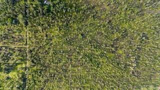 Mountain View, HI 96760,ROAD 2 (AO)