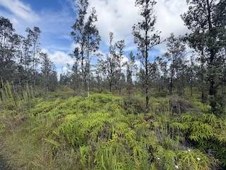 Mountain View, HI 96760,ROAD 2 (AO)