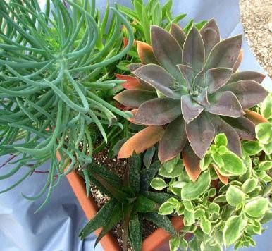 San Antonio, TX 78253,7193 Old Talley Rd TRLR 7 Road