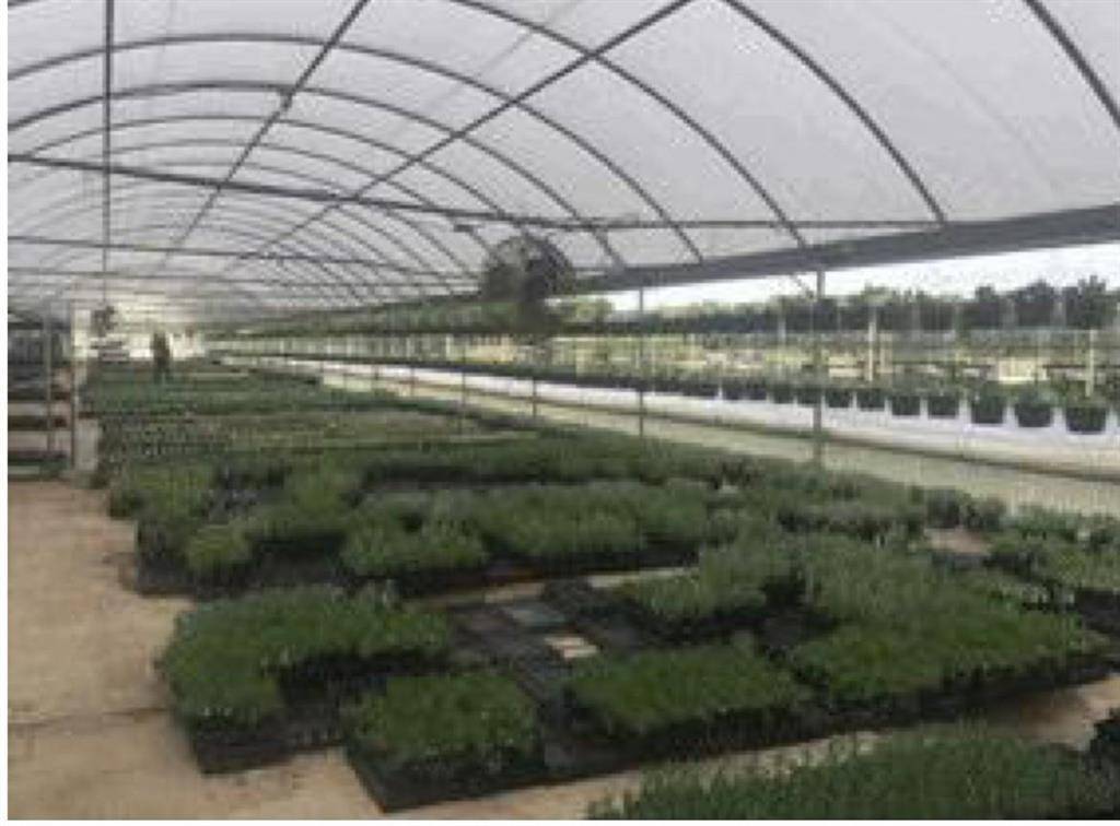 San Antonio, TX 78253,7193 Old Talley Rd 7 TRLR Road