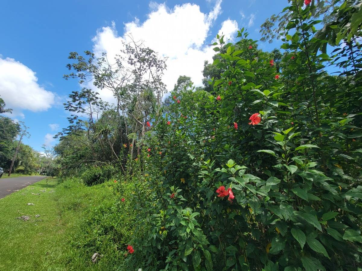 Pahoa, HI 96778,NENUE ST