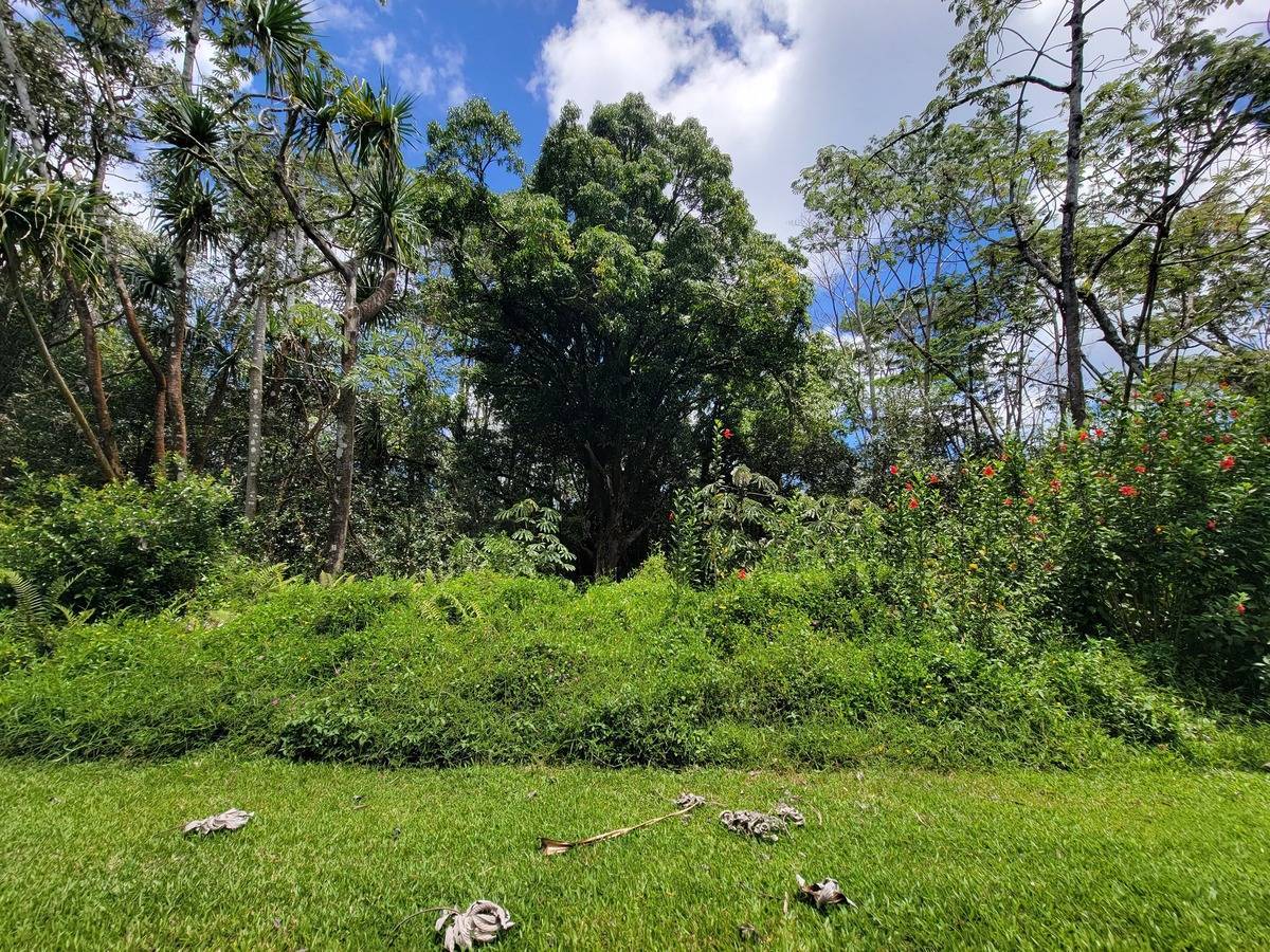 Pahoa, HI 96778,NENUE ST