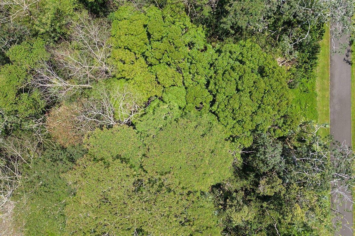 Pahoa, HI 96778,NENUE ST