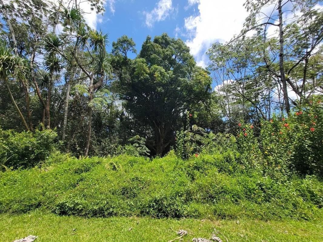 Pahoa, HI 96778,NENUE ST