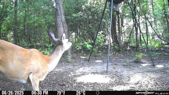 Teague, TX 75860,TBD I-45