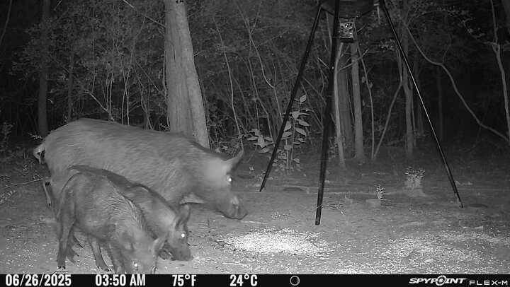 Teague, TX 75860,TBD I-45