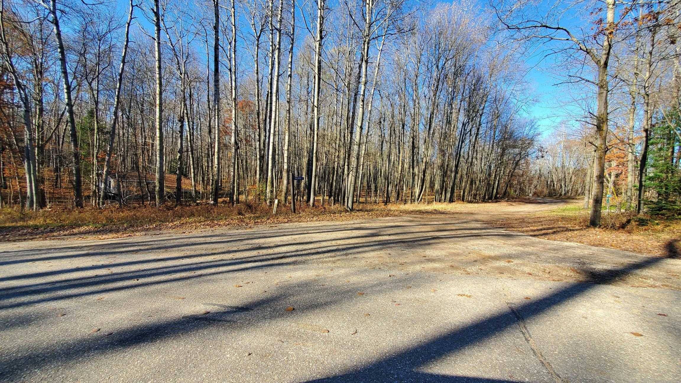 Stanwood, MI 49346,8122 Highland TRL