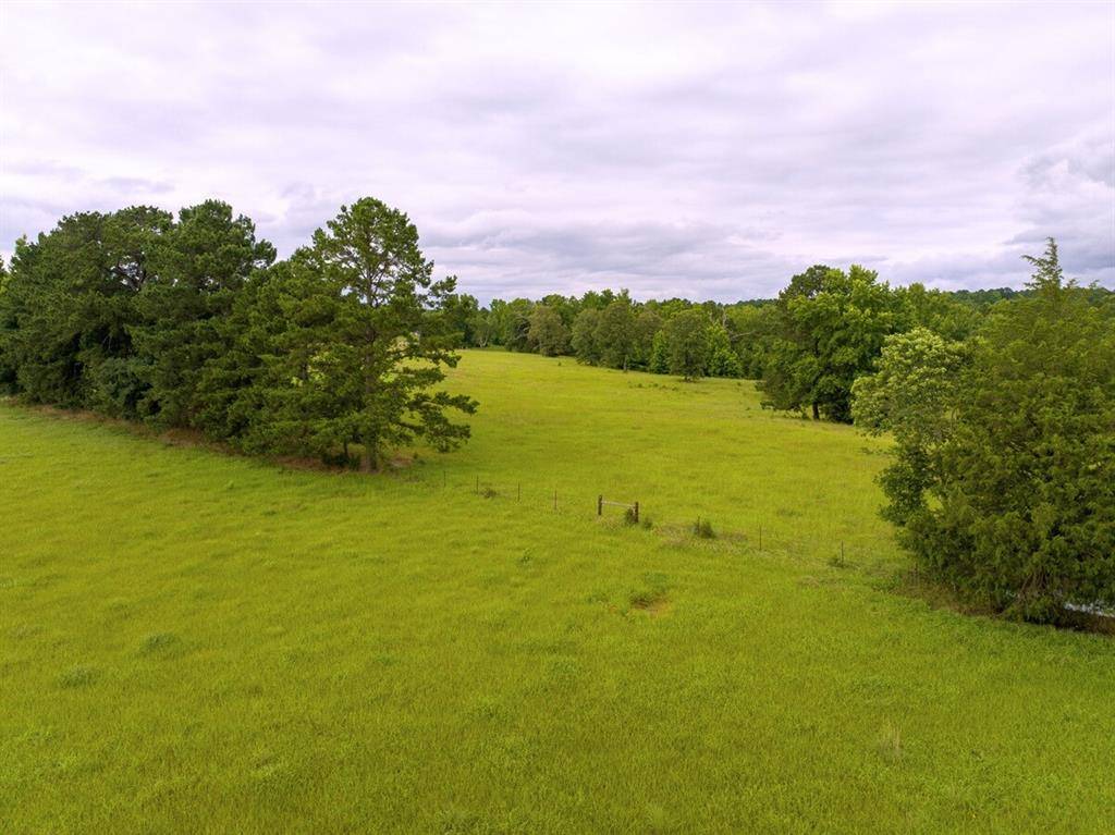 Elkhart, TX 75839,1 FM 323