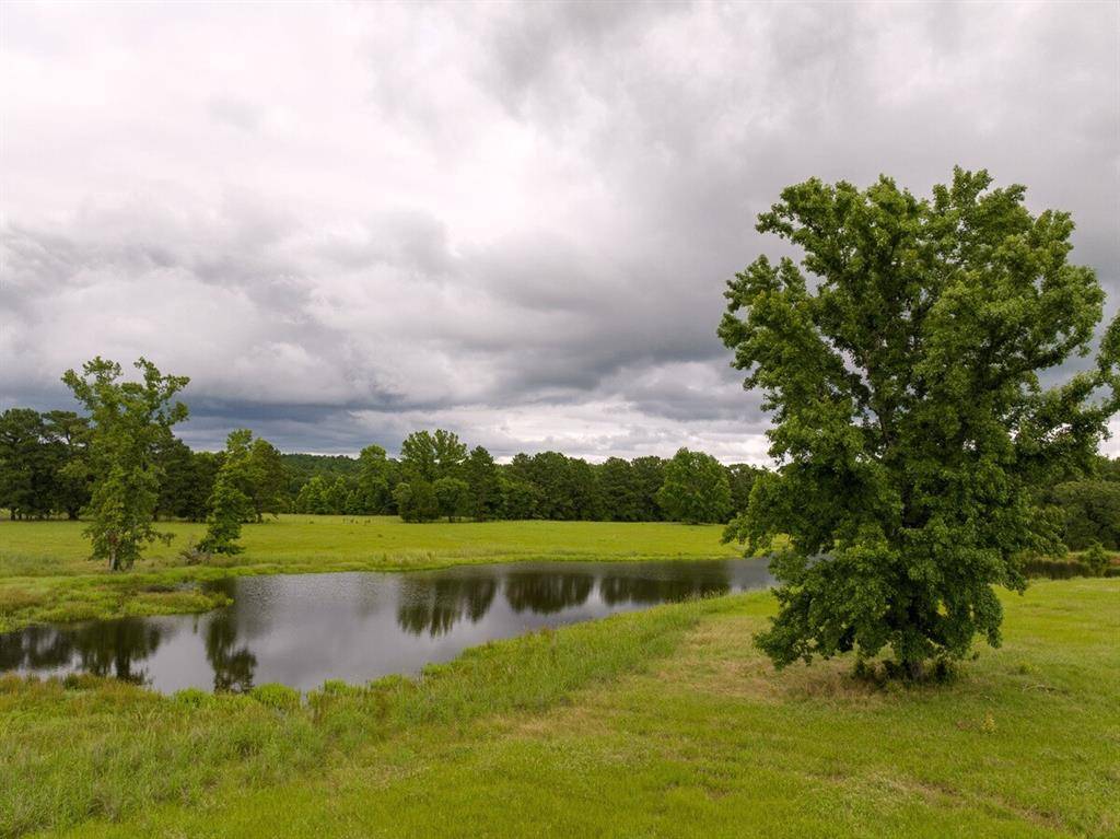 Elkhart, TX 75839,1 FM 323