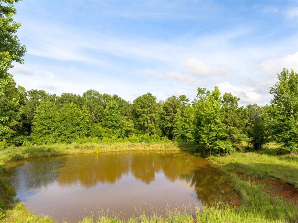 Elkhart, TX 75839,2 County Road 1224