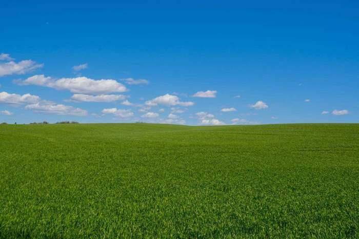 Scugog, ON L0B 1B0,3760 Mckee RD