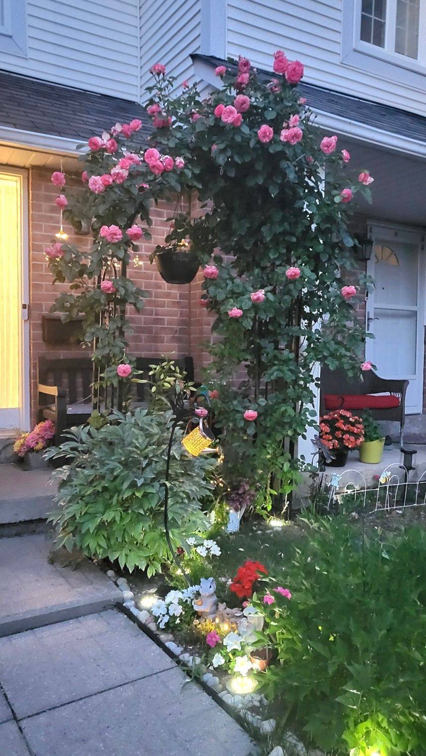 Mississauga, ON L5M 5N6,5205 Glen Erin DR #25A