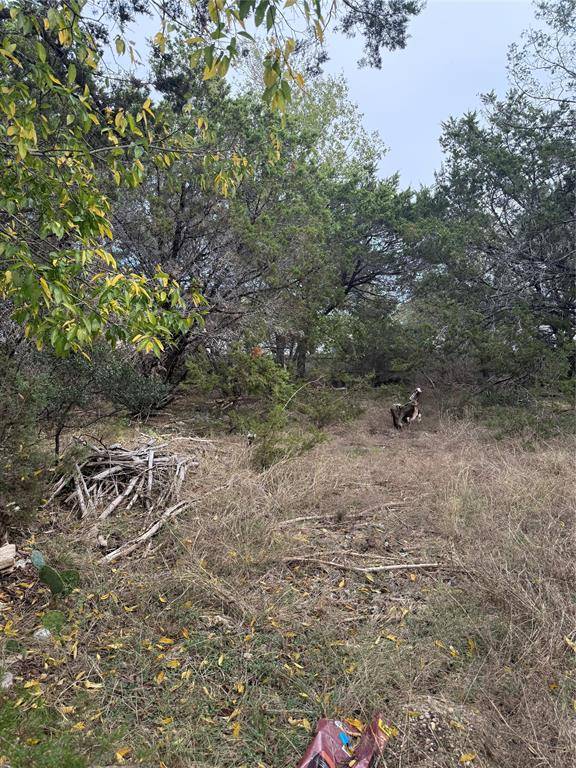 Morgans Point Resort, TX 76513,0 Teakwood Lane