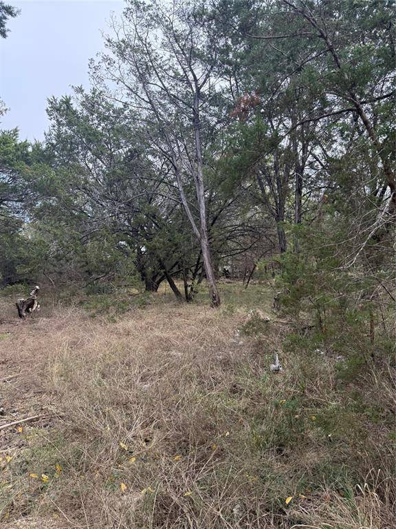 Morgans Point Resort, TX 76513,0 Teakwood Lane