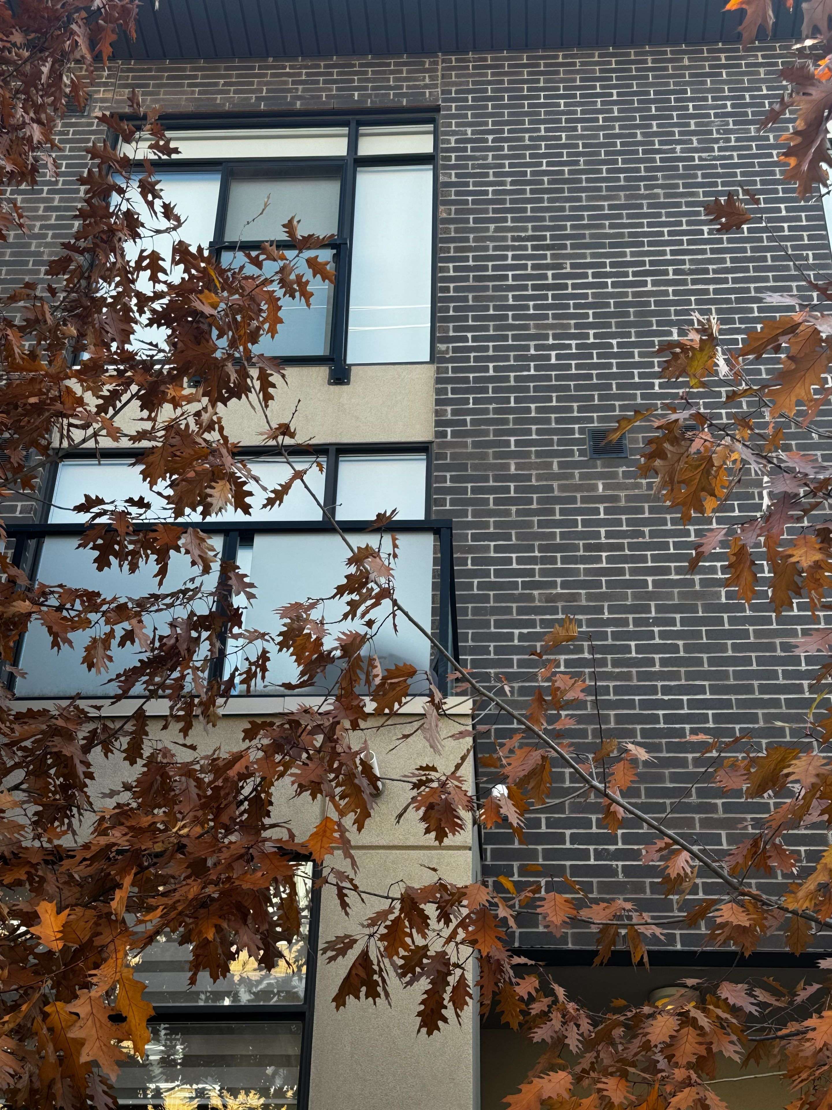 Toronto E01, ON M4L 1Y8,1321 Gerrard ST E #3