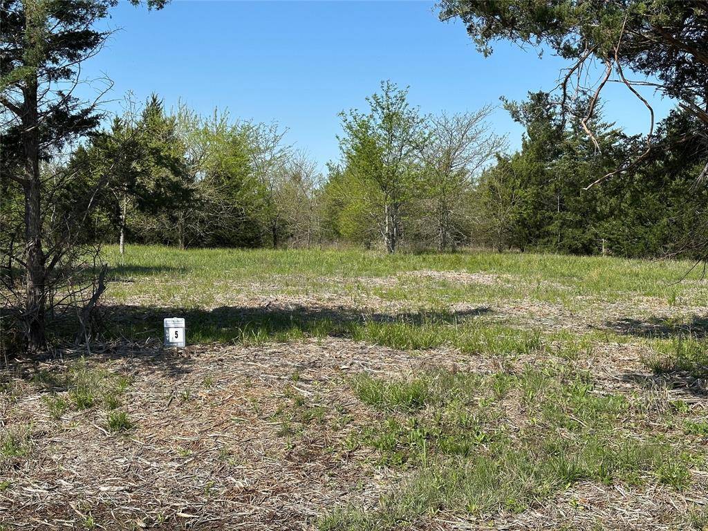 Honey Grove, TX 75446,Tract 5 Farm to Market 1743