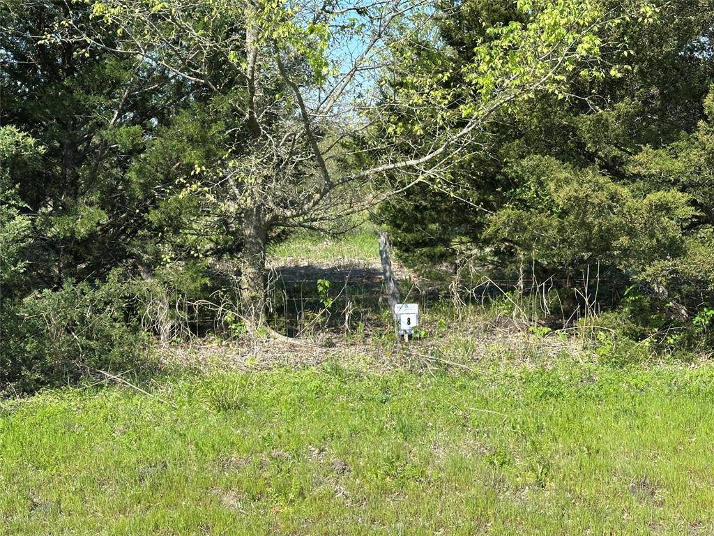Honey Grove, TX 75446,Tract 8 Farm to Market 1743