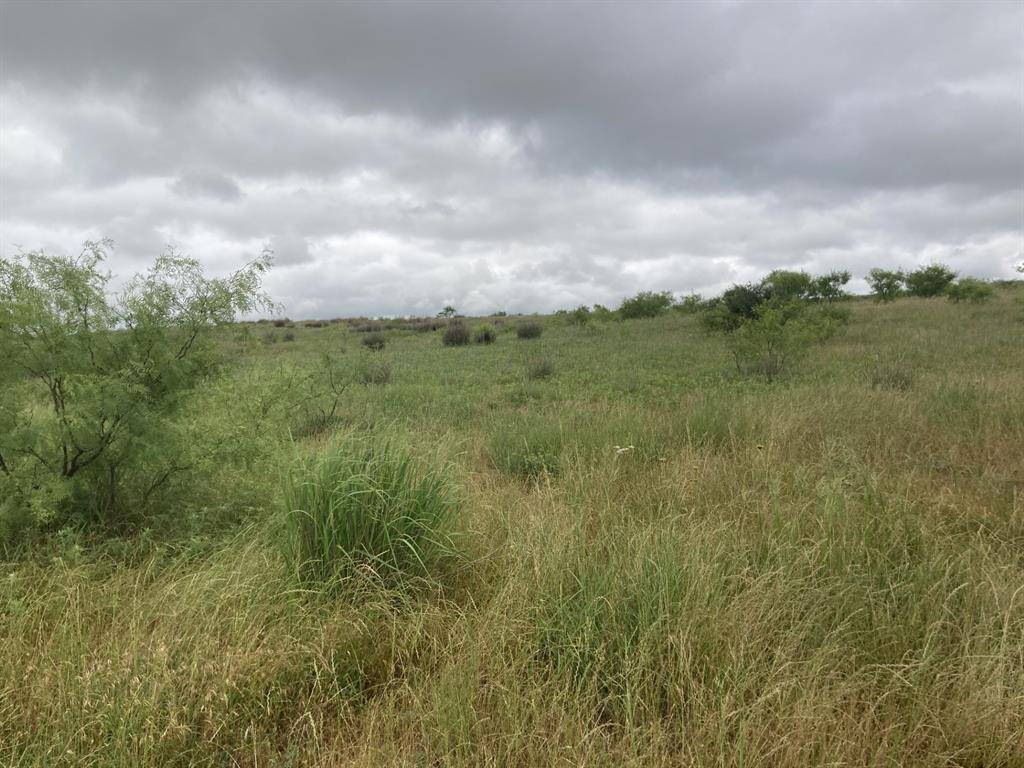 Newcastle, TX 76372,0000 Ward Road