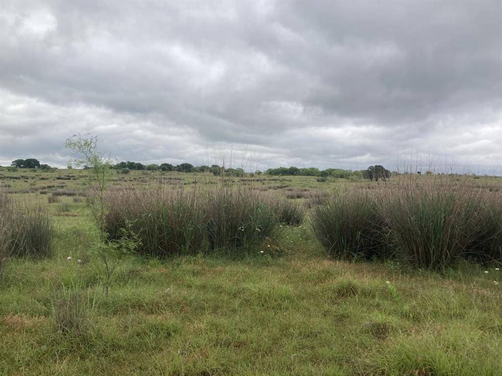 Newcastle, TX 76372,0000 Ward Road