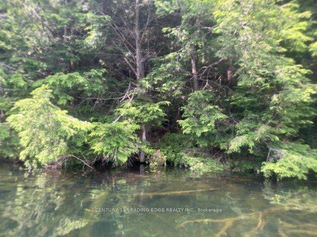 Kearney, ON P0A 1M0,0 Island Lake RD