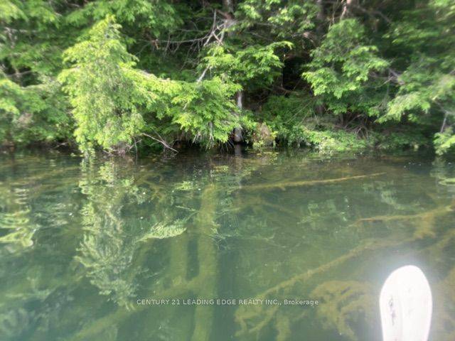 Kearney, ON P0A 1M0,0 Island Lake RD