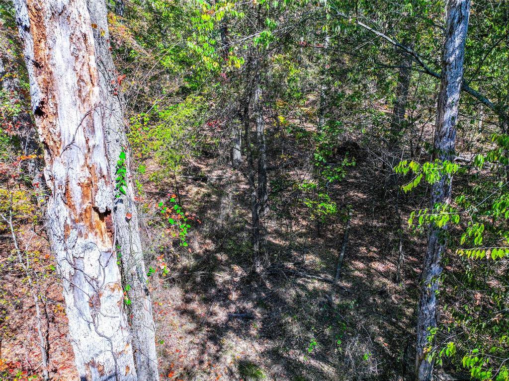 Scroggins, TX 75480,Lot 7 King Sebastion Road