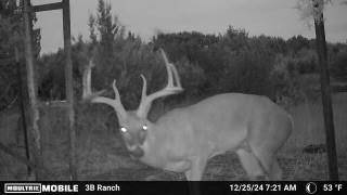 Lometa, TX 76853,815 CR 2080